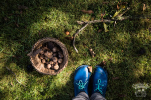 diós guba az Emlékek Íze konyhájából www.emlekekize.hu