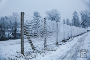 A világ monokrómban és színesben: kelt csöröge fánk