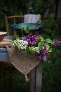 körözött az Emlékek Íze konyhájából www.emlekekize.hu