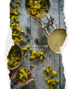 pitypangméz az Emlékek Íze konyhájából/dandelion honey from the Taste of Memories Hungarian country kitchen www.tasteofmemories.com/dandelion-honey