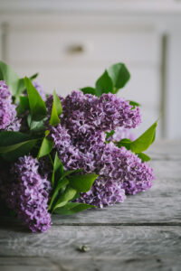 orgonaszörp az Emlékek Íze konyhájából www.emlekekize.hu / lilac syrup from the Taste of Memories Hungarian country kitchen www.tasteofmemories.com