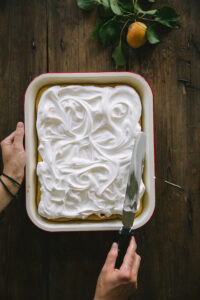 barackos lepény az Emlékek Íze konyhájából/ apricot pie with meringue from the Taste of Memories Hungarian country kitchen www.tasteofmemories.com